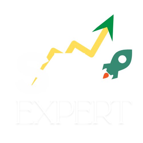 the seo expert
